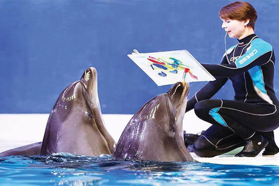 Dubai Dolphinarium